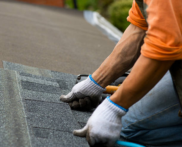 Best Gutter Installation and Roofing  in Compo, CT